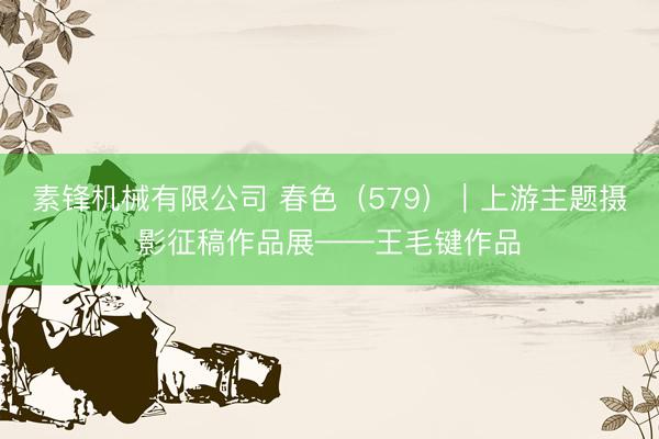 素锋机械有限公司 春色（579）｜上游主题摄影征稿作品展——王毛键作品
