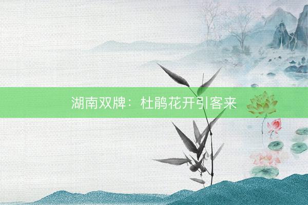 湖南双牌：杜鹃花开引客来