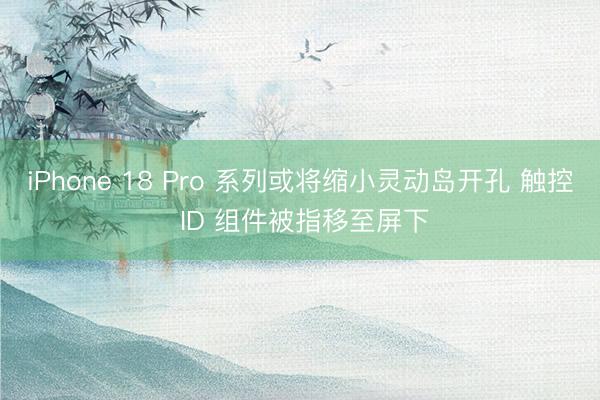 iPhone 18 Pro 系列或将缩小灵动岛开孔 触控 ID 组件被指移至屏下