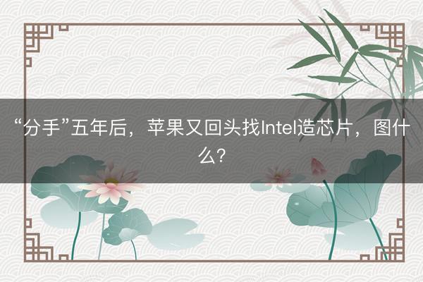 “分手”五年后,苹果又回头找Intel造芯片,图什么?