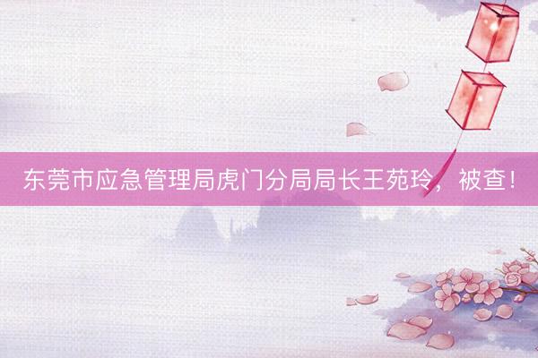 东莞市应急管理局虎门分局局长王苑玲，被查！