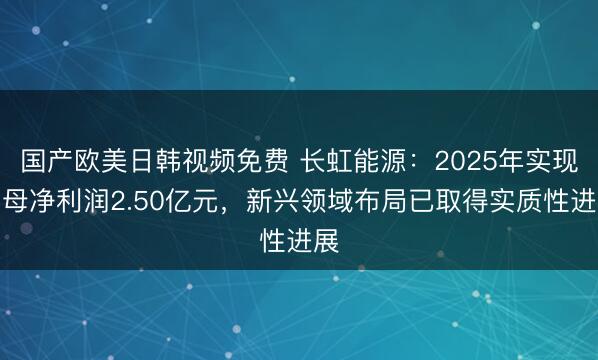 国产欧美日韩视频免费 长虹能源：2025年实现归母净利润2.50亿元，新兴领域布局已取得实质性进展