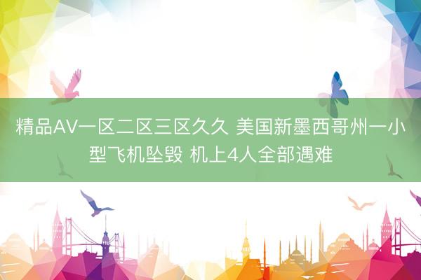 精品AV一区二区三区久久 美国新墨西哥州一小型飞机坠毁 机上4人全部遇难