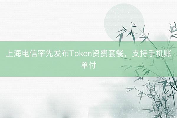 上海电信率先发布Token资费套餐，支持手机账单付
