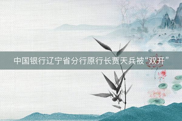 中国银行辽宁省分行原行长贾天兵被“双开”
