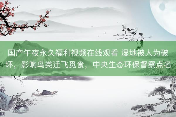 国产午夜永久福利视频在线观看 湿地被人为破坏，影响鸟类迁飞觅食，中央生态环保督察点名