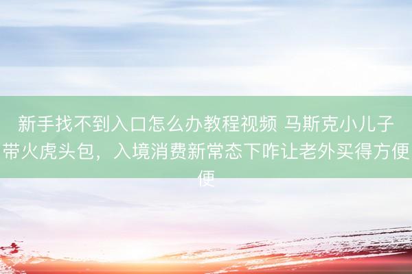 新手找不到入口怎么办教程视频 马斯克小儿子带火虎头包，入境消费新常态下咋让老外买得方便