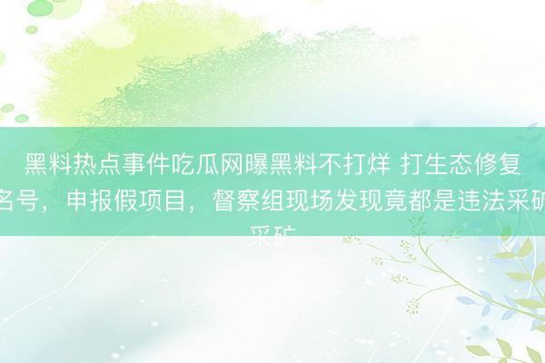 黑料热点事件吃瓜网曝黑料不打烊 打生态修复名号，申报假项目，督察组现场发现竟都是违法采矿