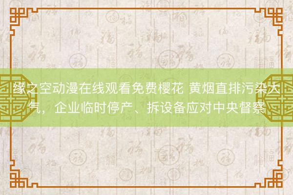 缘之空动漫在线观看免费樱花 黄烟直排污染大气,企业临时停产、拆设备应对中央督察