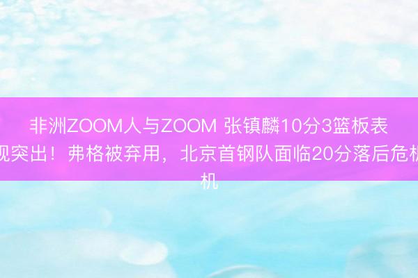 非洲ZOOM人与ZOOM 张镇麟10分3篮板表现突出！弗格被弃用，北京首钢队面临20分落后危机