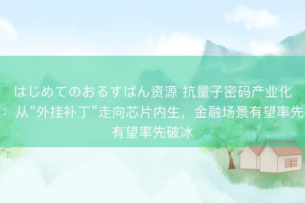 はじめてのおるすばん资源 抗量子密码产业化提速：从“外挂补丁”走向芯片内生，金融场景有望率先破冰