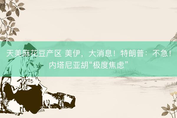 天美麻花豆产区 美伊，大消息！特朗普：不急！内塔尼亚胡“极度焦虑”
