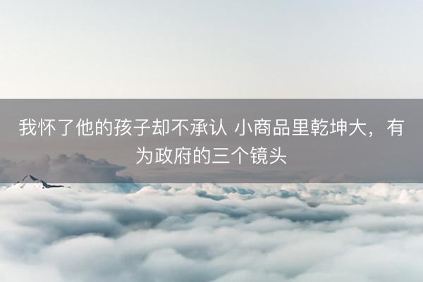 我怀了他的孩子却不承认 小商品里乾坤大，有为政府的三个镜头
