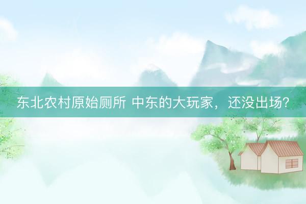 东北农村原始厕所 中东的大玩家，还没出场？