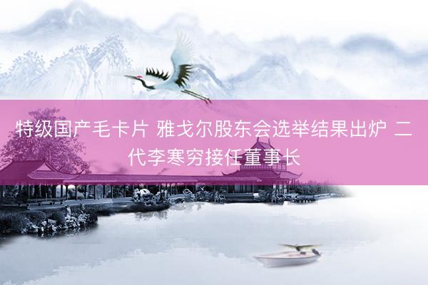 特级国产毛卡片 雅戈尔股东会选举结果出炉 二代李寒穷接任董事长