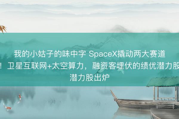 我的小姑子的味中字 SpaceX撬动两大赛道机遇！卫星互联网+太空算力，融资客埋伏的绩优潜力股出炉