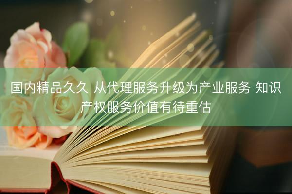 国内精品久久 从代理服务升级为产业服务 知识产权服务价值有待重估