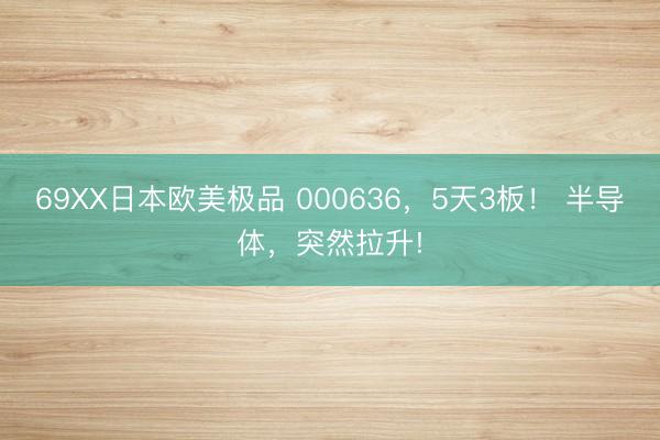 69XX日本欧美极品 000636，5天3板！ 半导体，突然拉升!