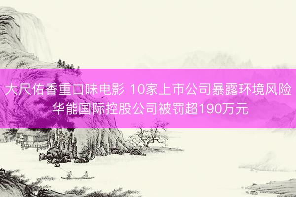 大尺佑香重口味电影 10家上市公司暴露环境风险 华能国际控股公司被罚超190万元