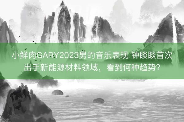 小鲜肉GARY2023男的音乐表现 钟睒睒首次出手新能源材料领域，看到何种趋势？