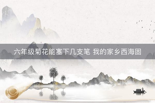 六年级菊花能塞下几支笔 我的家乡西海固