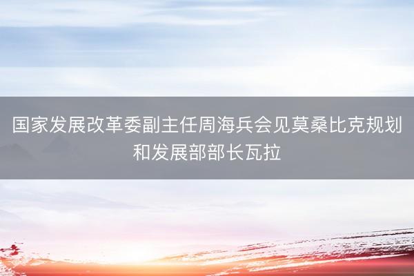 国家发展改革委副主任周海兵会见莫桑比克规划和发展部部长瓦拉
