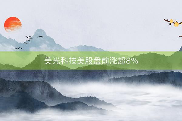 美光科技美股盘前涨超8%