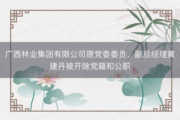 广西林业集团有限公司原党委委员、副总经理黄建丹被开除党籍和公职