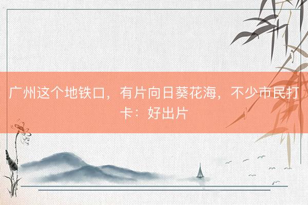 广州这个地铁口，有片向日葵花海，不少市民打卡：好出片