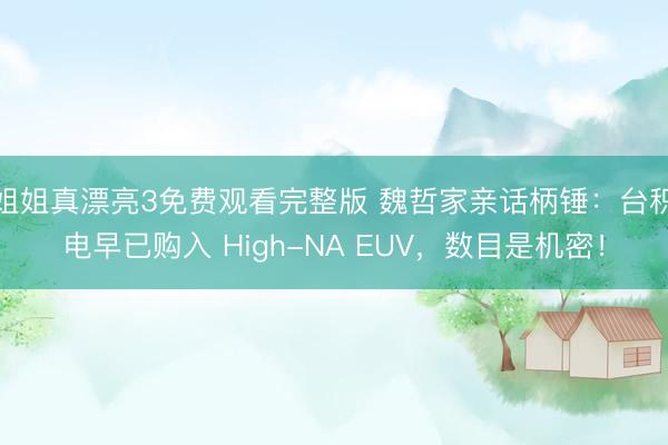 姐姐真漂亮3免费观看完整版 魏哲家亲话柄锤：台积电早已购入 High-NA EUV，数目是机密！