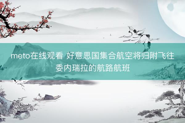 meto在线观看 好意思国集合航空将归附飞往委内瑞拉的航路航班