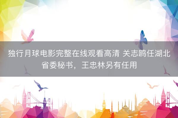 独行月球电影完整在线观看高清 关志鸥任湖北省委秘书，王忠林另有任用