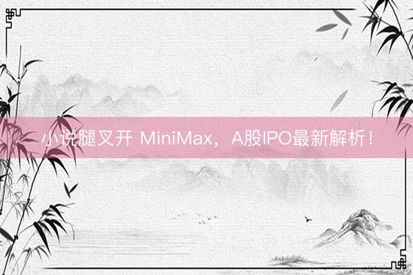 小说腿叉开 MiniMax，A股IPO最新解析！
