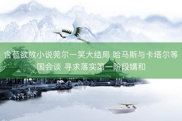 含苞欲放小说莞尔一笑大结局 哈马斯与卡塔尔等国会谈 寻求落实第一阶段媾和