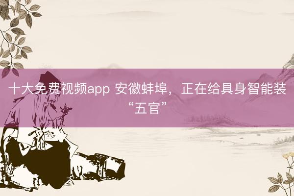 十大免费视频app 安徽蚌埠，正在给具身智能装“五官”