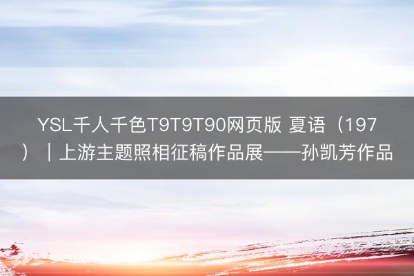 YSL千人千色T9T9T90网页版 夏语（197）｜上游主题照相征稿作品展——孙凯芳作品