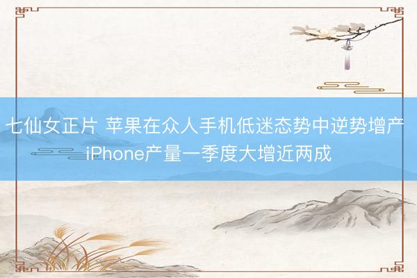 七仙女正片 苹果在众人手机低迷态势中逆势增产 iPhone产量一季度大增近两成