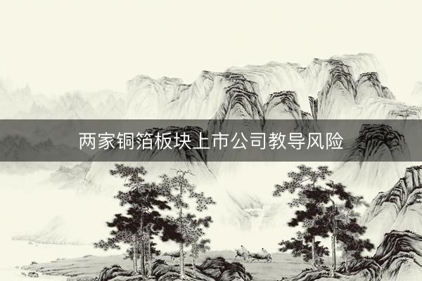 两家铜箔板块上市公司教导风险