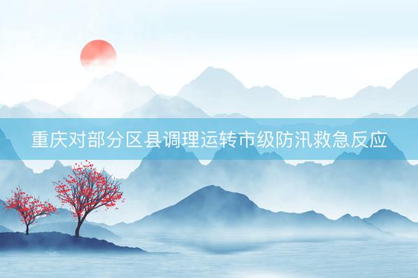 重庆对部分区县调理运转市级防汛救急反应